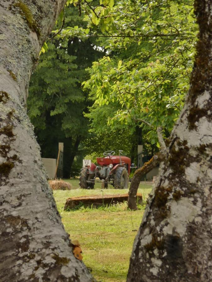 Domaine Du Venet